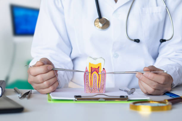 Best Emergency Dentist for Lost Fillings or Crowns in Normandy, MO